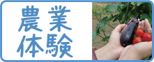 農業体験